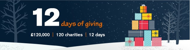 12 Days of Giving 2020