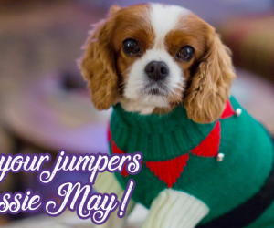 Wear your jumpers for Jessie May!